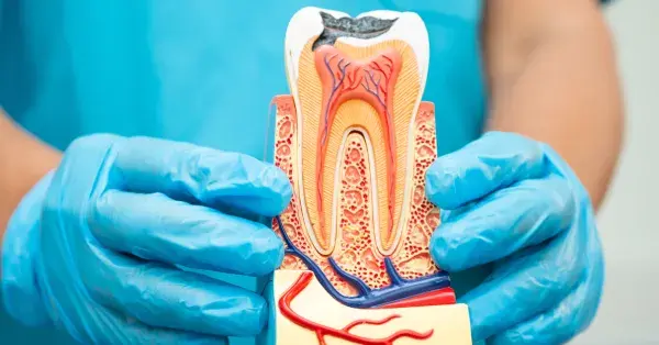Is Root Canal Painful? Myths vs Reality (2026 Guide)